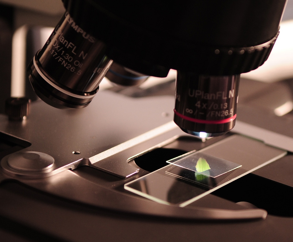 生物分析实验室哪些器具需要强制检定？